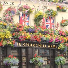 Схема вышивки «Британские розы»