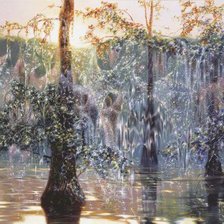 Схема вышивки «закат на амазонке»