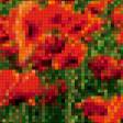 Предпросмотр схемы вышивки «Маки на закате» (№554109)