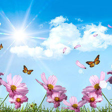 Схема вышивки «Бабочки и цветы»