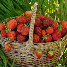 Схема вышивки «Вкусная клубника»