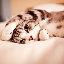 Я спрятался