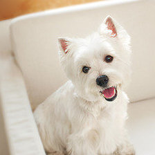 Схема вышивки «№554152»