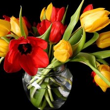 Схема вышивки «тюльпаны на черном»