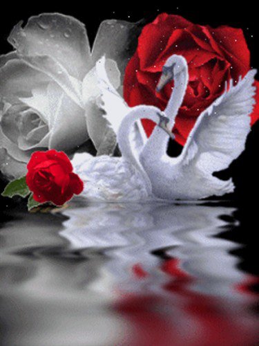 прелесть природы - лебеди, птицы - оригинал