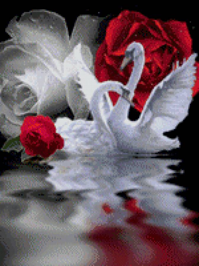 прелесть природы - лебеди, птицы - предпросмотр