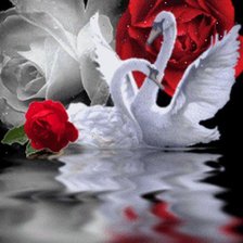 Схема вышивки «прелесть природы»