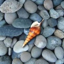 Схема вышивки «ракушка на камнях»