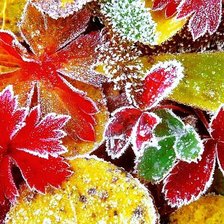 Схема вышивки «морозные листья»