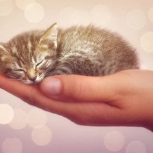 Схема вышивки «№554516»