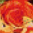 Предпросмотр схемы вышивки «Цветочный рай» (№554540)