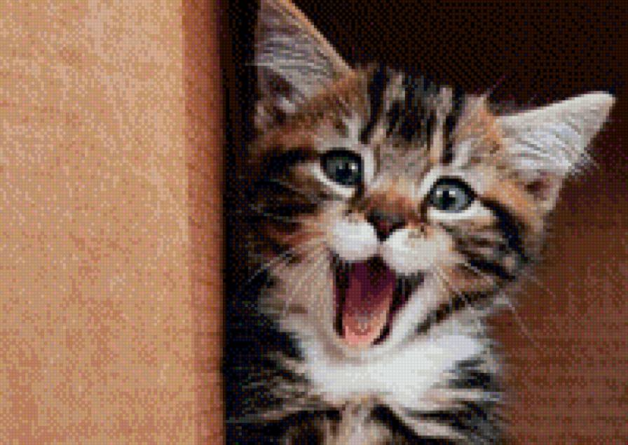 Я тебя съем - предпросмотр