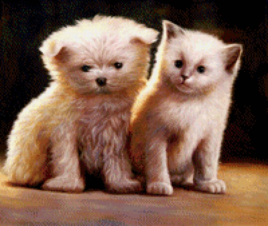 Кот и собака - животные - предпросмотр