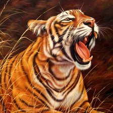 Схема вышивки «Тигр»