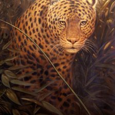 Схема вышивки «Леопард»