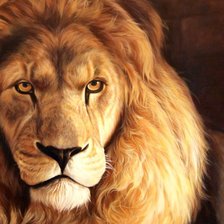 Схема вышивки «Царь зверей»