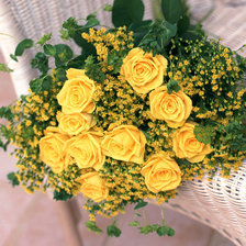 Схема вышивки «№554779»