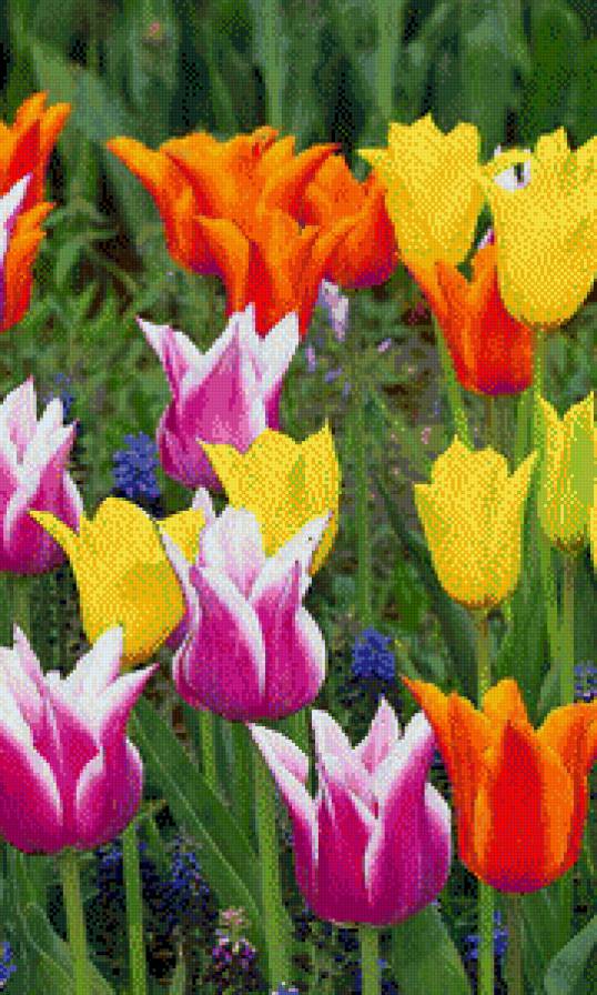 №554781 - предпросмотр