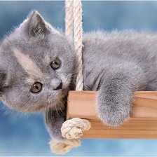 Схема вышивки «№554787»