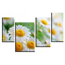 Схема вышивки «№554799»