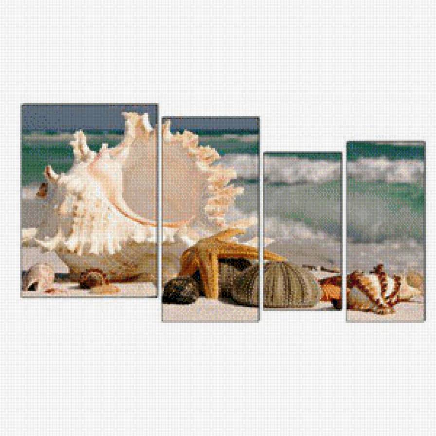 Дары моря - триптих, морская звезда, ракушки, море - предпросмотр