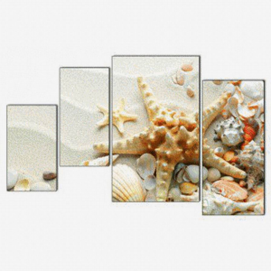 Морская звезда - ракушки, триптих, морская звезда - предпросмотр