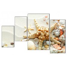 Схема вышивки «Морская звезда»