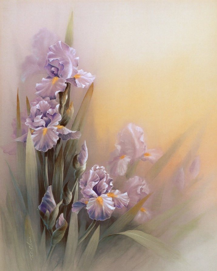 №554807 - ирис, цветы - оригинал