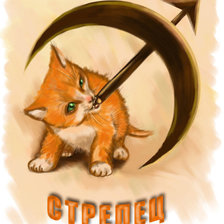 Схема вышивки «Стрелец»