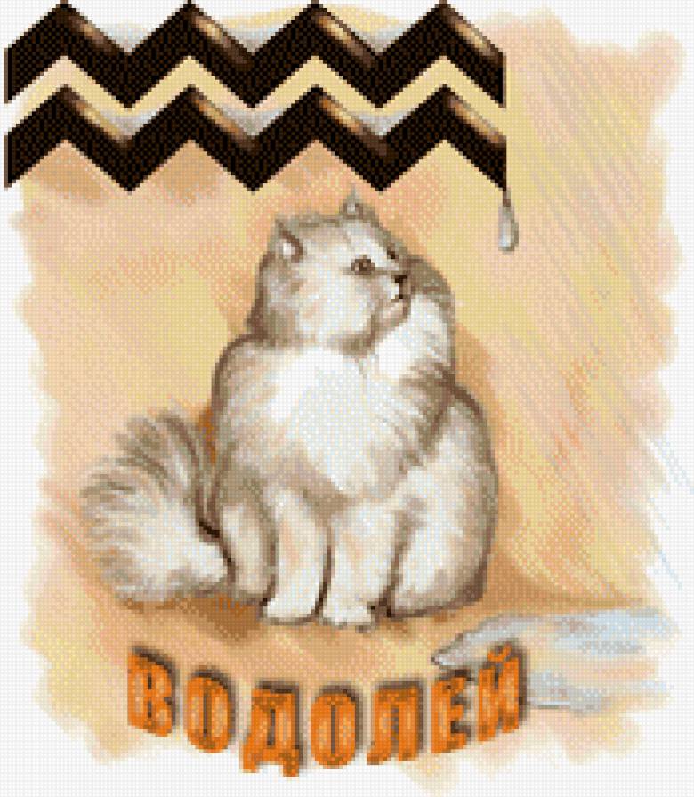 Водолей - знаки зодиака - предпросмотр