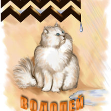 Схема вышивки «Водолей»