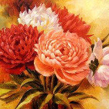 Хризантемы