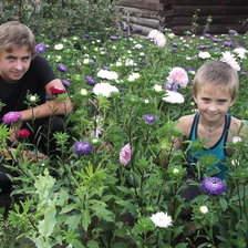 Схема вышивки «Сыновья»