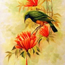 Схема вышивки «Птичка»