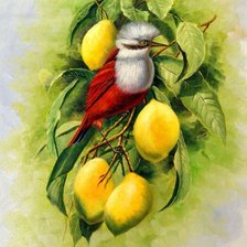 Схема вышивки «Птичка»