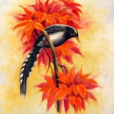 Схема вышивки «Птички»