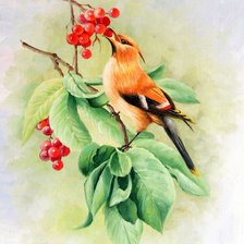 Схема вышивки «Птичка»