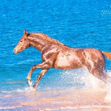 Схема вышивки «Лошадка»