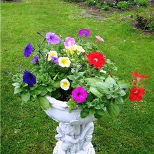 Схема вышивки «цветы у дома»