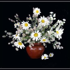 Схема вышивки «gvirila»