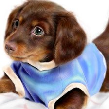 Схема вышивки «Щенок в синей рубашке»