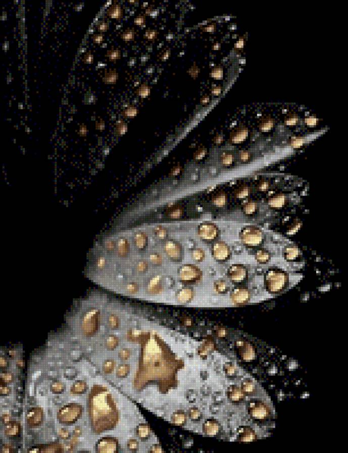 Цветок - предпросмотр