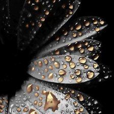 Схема вышивки «Цветок»