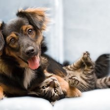 Схема вышивки «Дружба»