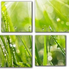 Схема вышивки «№555255»