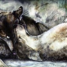 Схема вышивки «колекция "волки"»