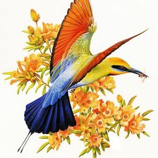 Схема вышивки «зимородок»