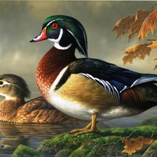 Схема вышивки «утки на озере»