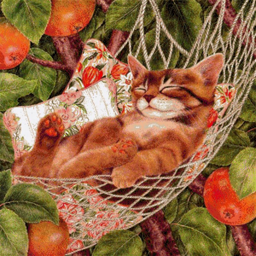 соня - котики - предпросмотр