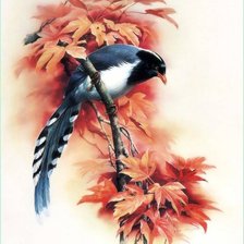 Схема вышивки «Птица»